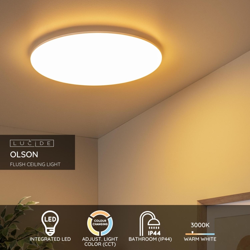 Lucide OLSON - Flush ceiling light Bathroom - Ø 45 cm - LED - CCT - 1x45W 3000K/6500K - IP44 - Opal